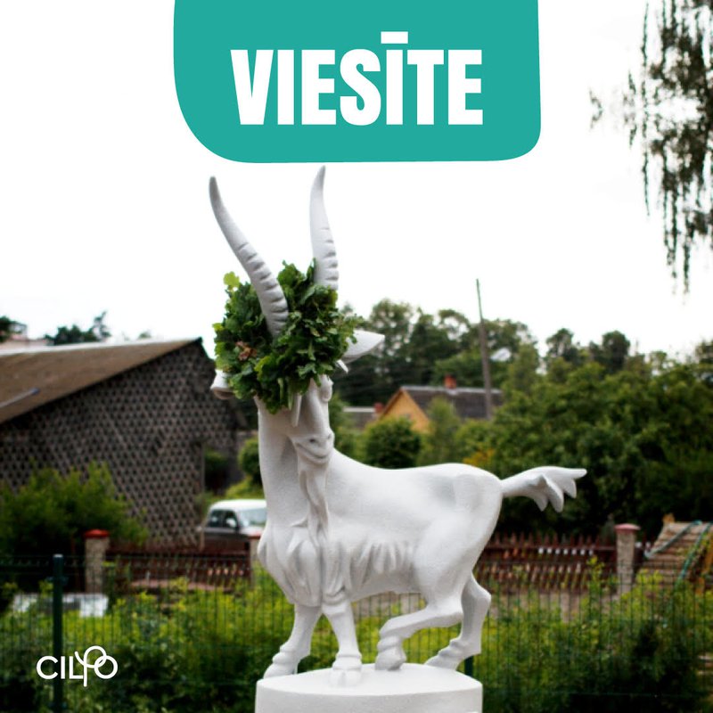 viesite